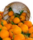 Bushel of Organic Oranges