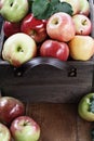 Bushel of Red Apples in a Crate