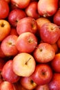 Bushel of Red Apples