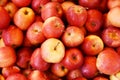 Bushel of Red Apples Royalty Free Stock Photo