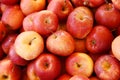 Bushel of Red Apples Royalty Free Stock Photo