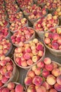 Bushels of Fresh Peaches Royalty Free Stock Photo