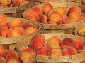 Bushels of Peaches 2 Royalty Free Stock Photo