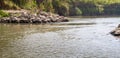 Bushes along the banks, Jordan River