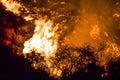 Bushes in Black Silhouette in Foreground with Bright Orange Flames in Background during California Fires Royalty Free Stock Photo