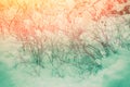 Bushes covered with snow Royalty Free Stock Photo