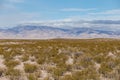 Bushes crowding a vast desert vista landscape with mountain range Royalty Free Stock Photo