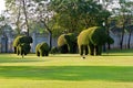 Bushes cut to animal figures in the park of Bang Pa-In Palace