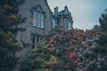 Bushes full of flowers in front of a typical Scottish house, Stirling Royalty Free Stock Photo