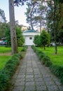 Bushes in the park. Well-groomed park area. Quiet place in the city Royalty Free Stock Photo