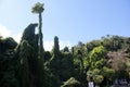 Bushes and trees of Ao Nang near Krabi in Thailand Royalty Free Stock Photo