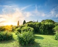 Bushes in Vorontsov garden Royalty Free Stock Photo