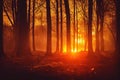 Bushfire apocalypse in forest with big destruction background. Deforestation firestorm environmental ecology hazard with