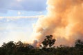 Bushfire Royalty Free Stock Photo