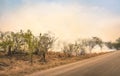 Bushfire burning at nature park in South Africa - Disaster in bush forest Royalty Free Stock Photo