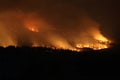 Bushfire Wildfire at night Royalty Free Stock Photo