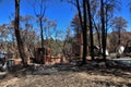 After Bushfires homes razed