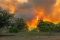 Bushfires on the Kwando River, Zambezi Region, Namibia Royalty Free Stock Photo