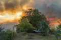 Bushfires on the Kwando River, Zambezi Region, Namibia Royalty Free Stock Photo