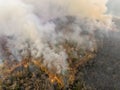 Bushfires in tropical forest release carbon dioxide (CO2) emissions Royalty Free Stock Photo