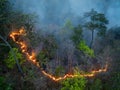 Bushfires in tropical forest release carbon dioxide (CO2) emissions and other greenhouse gases (GHG) Royalty Free Stock Photo