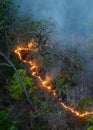 Bushfires in tropical forest release carbon dioxide (CO2) emissions and other greenhouse gases (GHG) Royalty Free Stock Photo