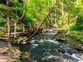 Bushkill Falls boardwalks with flowing water