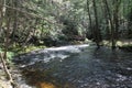 Bushkill Falls river in Pennsylvania Royalty Free Stock Photo