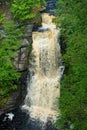 Bushkill Falls vertical drop Royalty Free Stock Photo