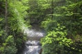 Bushkill falls whitewater river landscape Royalty Free Stock Photo