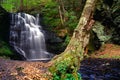 Bushkill Waterfall Royalty Free Stock Photo