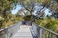 Bushland Walkway Royalty Free Stock Photo