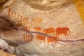 Bushman elephant paintings Royalty Free Stock Photo