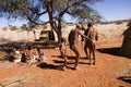 Bushmen dancing Royalty Free Stock Photo