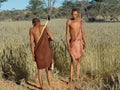 Bushmen hunters in a fields search Royalty Free Stock Photo