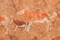 Bushmen rock painting of antelopes - Namibia