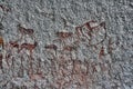 Bushmen rock painting of human figures and antelopes, giraffe of the Matopos National Park, Zimbabwe