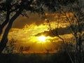 Bushveld Sunset Royalty Free Stock Photo