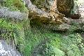 Bushwalking in Blue Mountains. Royalty Free Stock Photo