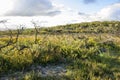 Bushwalking in Booderee National Park. NSW. Australia Royalty Free Stock Photo