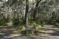 Bushwalking in Booderee National Park. NSW. Australia Royalty Free Stock Photo