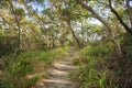 Bushwalking in Jervis Bay National Park Royalty Free Stock Photo