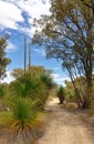 Bushwalking: Western Australia Royalty Free Stock Photo