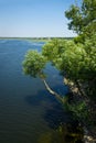 Bushy trees over the river