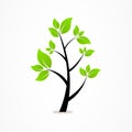 Business abstract tree eco logo nature