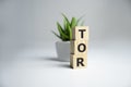 business acronym term TOR Terms of Reference, business concept