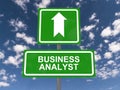 Business analyst