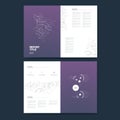 Business annual report template infographics data analysis layout for presentation. Finance icons and graphs with pie