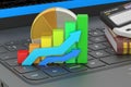 Business, banking and statistic concept on the laptops keyboard, 3D rendering Royalty Free Stock Photo