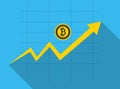 Business Bitcoin concept growth chart on graph background.